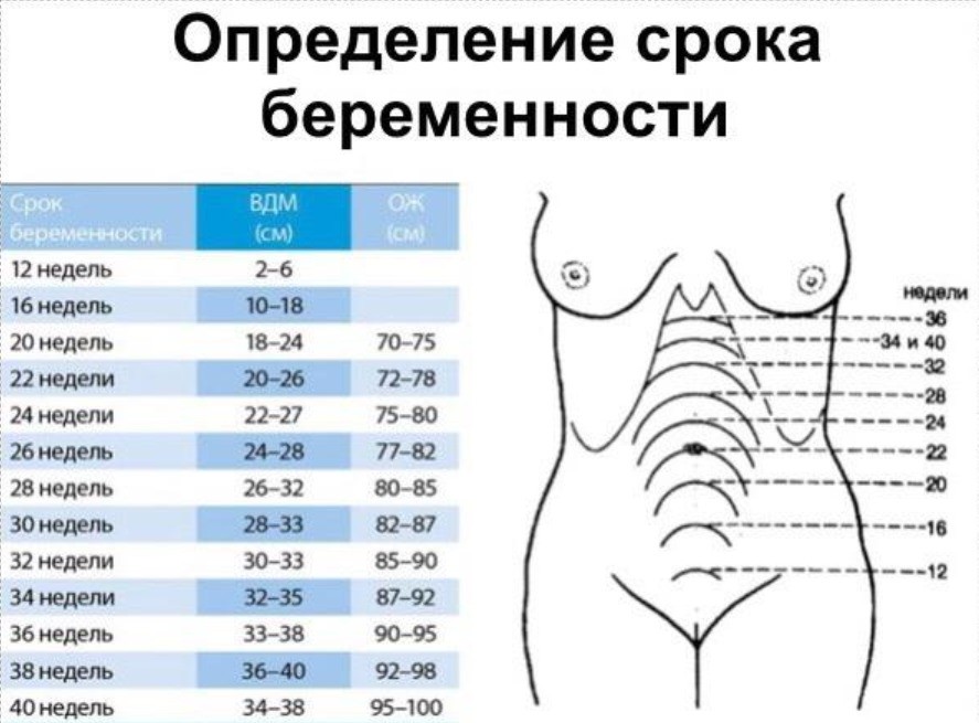 2025-08-11_13-15-38.jpg 2025-08-11_13-15-38.jpg