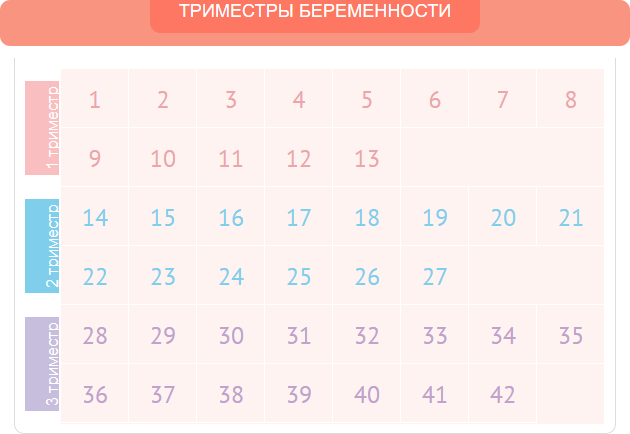 текст 7 нед бер 3.jpg