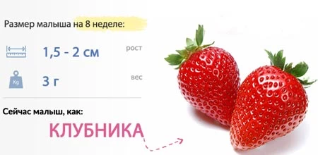 текст 7 нед бер 1.jpg