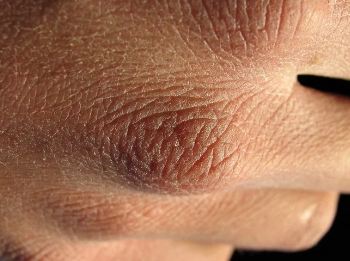 2025-08-11_14-20-39.jpg